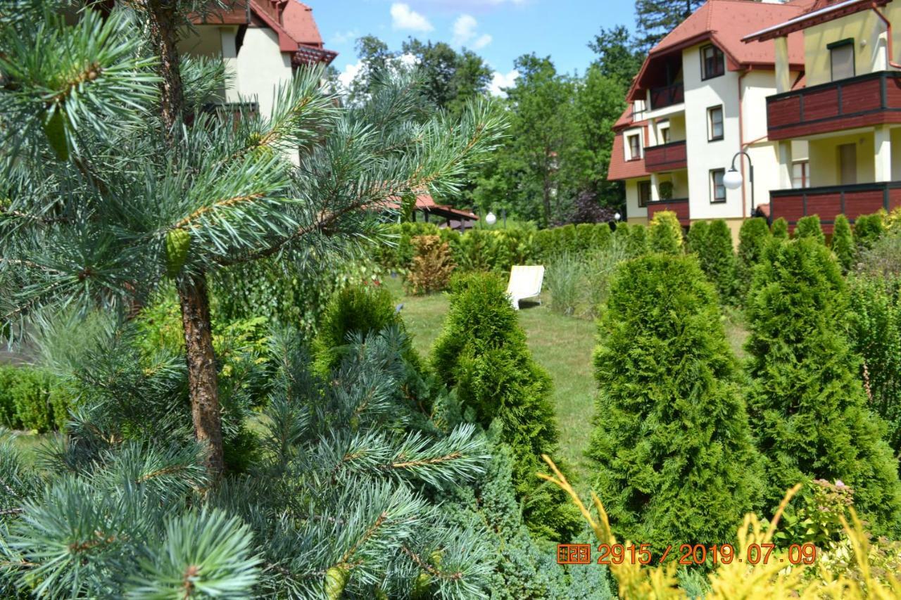 Appartement Apartament Parkowa Polana Z Ogrodem à Polanica-Zdrój Extérieur photo