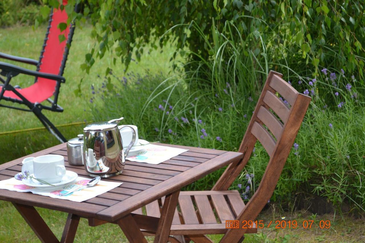 Appartement Apartament Parkowa Polana Z Ogrodem à Polanica-Zdrój Extérieur photo